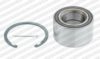 SNR R173.66 Wheel Bearing Kit